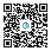 1-220P4100339204